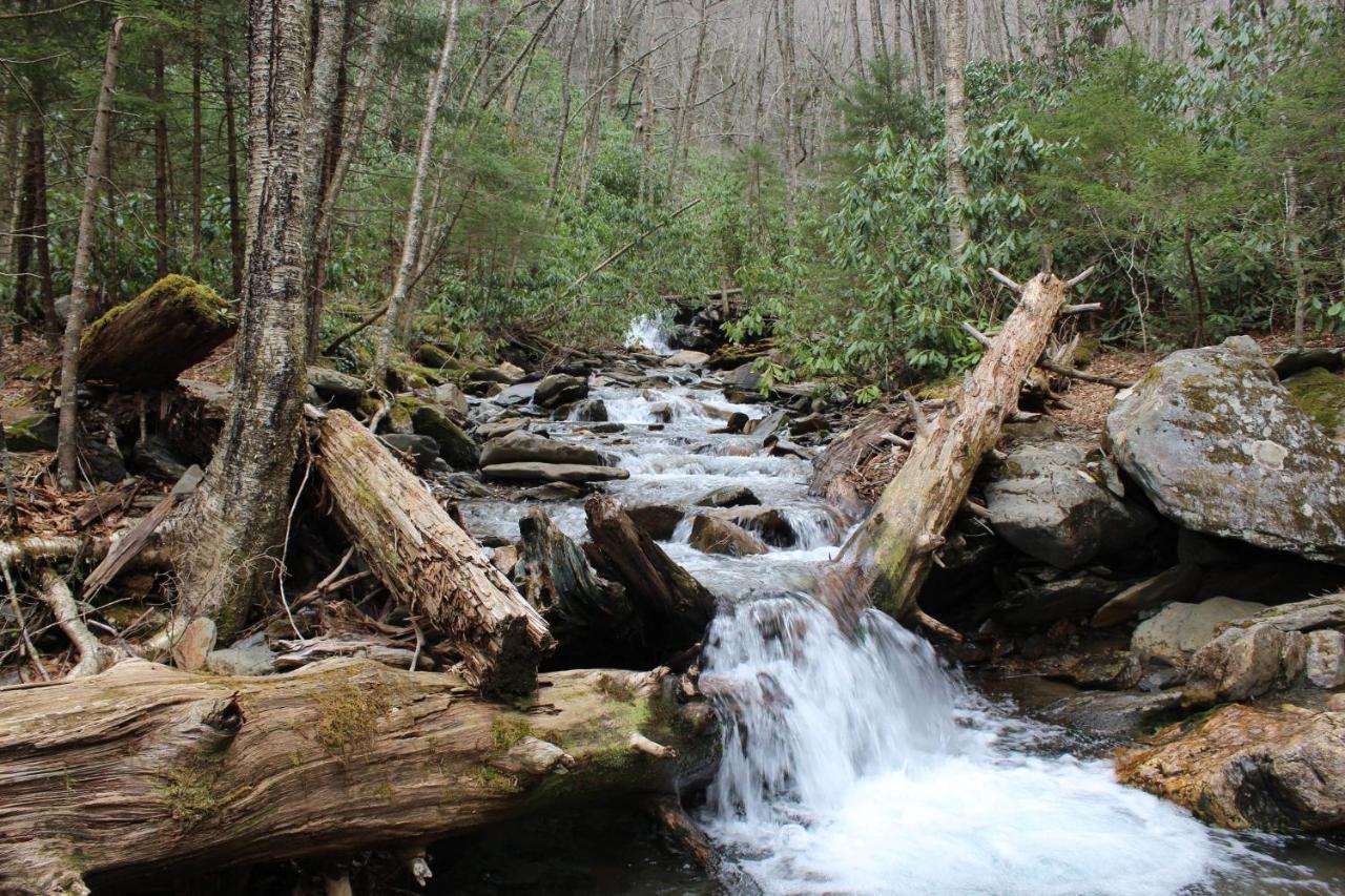 Vila Gorgeous Large Mountain View Cabin W Hot Tub, Free Wifi, Games Sevierville Exteriér fotografie